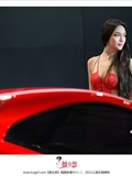 Special issue of Shanghai Auto Show(8)